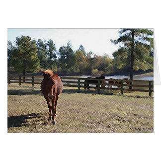 Sissy Mule Card Hälsningskort