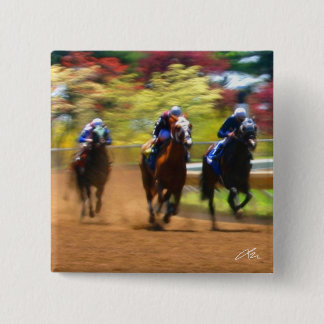 Sist elasticitet (knäppas), knapp