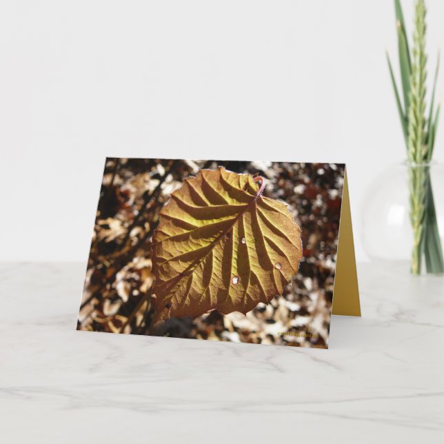 Sist löv kort (Framsida)