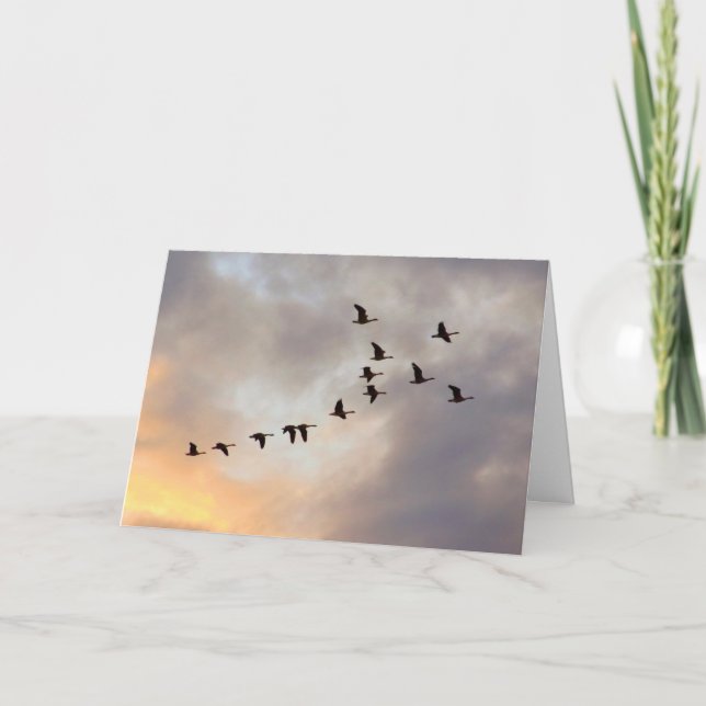 Sista kemo-firande Naturkort Kort (Framsida)