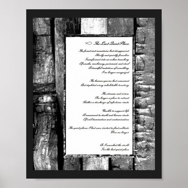 Sista Quiet Ställe Poster (Framsidan)