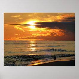 Sista Sandpiper Poster