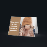 SISTA "TONÅRING ÅR" LYCKLIG 18:e BIRTHDAY Card Kort<br><div class="desc">JAG HOPPAS ATT DU TYCKER OM GNOMES SOM JAG!!! DEN HÄR FÖRHOPPAS DINA VÄNNER ELLER FAMILJEMEDLEMMAR HAR EN "18:e" LYCKLIG-BIRTDAG!!!!!! TACK FÖR ATT JAG STOPPADE MED 1 AV MINA 8 LAGRINGAR!!!!!!</div>