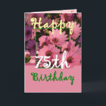 SISTER - 75:e födelsedag med Rosa Daisy Flowers Kort<br><div class="desc">De här glada blommorna i rosan och den medföljande "magiska blomman"-versen är ett sött sätt att önska din syster ett Grattis på födelsedagen. Inuti text finns anpassade, så att du kan lägga till en egen speciell känsla. Om du vill se mer av mina födelsedagskort skriver du in det år du...</div>