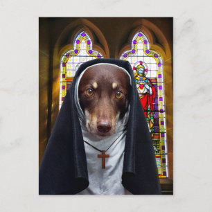 Sister Ally Vykort