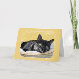 Sister, Belet Birthday Tortoiseshell Cat Kort