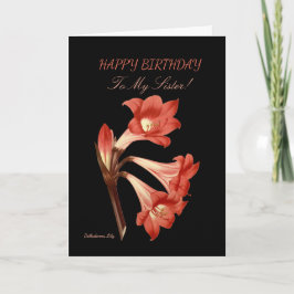 Sister Birthday Belladonna Lily Kort