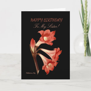 Sister Birthday Belladonna Lily Kort