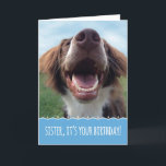 Sister Birthday, Lycklig Hund med Big Smile Kort<br><div class="desc">Att fira en födelsedag är något att le över,  och den här lycklig hund kommer att ge er systers ansikte ett stort leende. Denna förtjusande,  skoningslösa valp är en brun och vit spaniel som räddades från härbärgen. Hon har nu grönt,  blå himmel och många grattis på födelsedagen.</div>