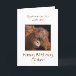 Sister Birthday, Orang Utan Kort<br><div class="desc">Ge din syster är en kinkig apa på ett födelsedagskort. Ett födelsedagskort för din egen toppbanan! En baby orangutan tittar söt.</div>