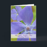 Sister Birthday på Mors dag Vinca Bloom Kort<br><div class="desc">Ett foto av blommar Vinca visas på födelsedagen på Mors dag pappra hälsningskort för en syster. Art,  bild och versell copyright © Shoaff Ballanger Studios,  2024.</div>