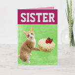 SISTER CAT BIRTHDAY CAKE BIG GREETARD KORT<br><div class="desc">SISTER CUTE CAT MED BIRTHDAY CAKE CARD. INSIDLÄSNINGAR: FÖRHOPPNINGEN AV DIN BIRTHDAY ÄR MEOVELÖS</div>