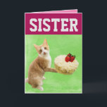 SISTER CAT BIRTHDAY CAKE BIG GREETARD KORT<br><div class="desc">SISTER CUTE CAT MED BIRTHDAY CAKE CARD. INSIDLÄSNINGAR: FÖRHOPPNINGEN AV DIN BIRTHDAY ÄR MEOVELÖS</div>