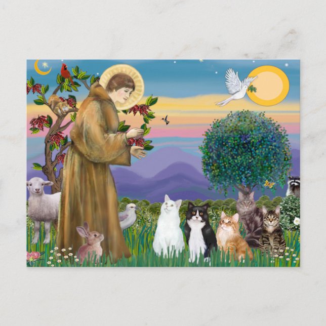 Sister Frances Blances 5 katter Vykort (Framsida)
