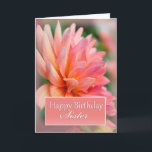 Sister Grattis på födelsedagen, Rosa Dahlia Kort<br><div class="desc">Det är din systers födelsedag och du vill ge henne ett söt-kort men också en del av hennes personlighet... en söt rosa blomma. Originalfotografi av JMDykstraPhotography</div>