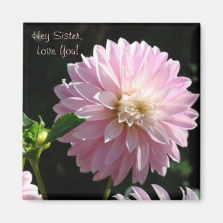 Sister Kärlek Du, magnet ger Rosa Dahlia!