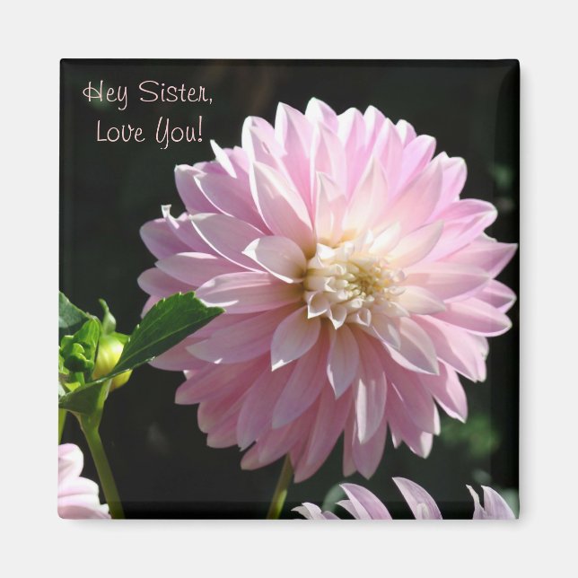 Sister Kärlek Du, magnet ger Rosa Dahlia! (Framsidan)