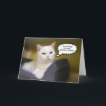 Sister White Cat Birthday Humor Card Kort<br><div class="desc">Den här katten säger som den är!</div>