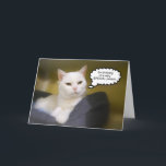 Sister White Cat Birthday Humor Card Kort<br><div class="desc">Den här katten säger som den är!</div>