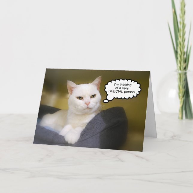 Sister White Cat Birthday Humor Card Kort (Framsida)