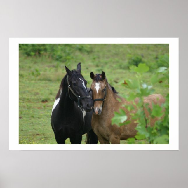 Sisters kärlek poster (Framsidan)