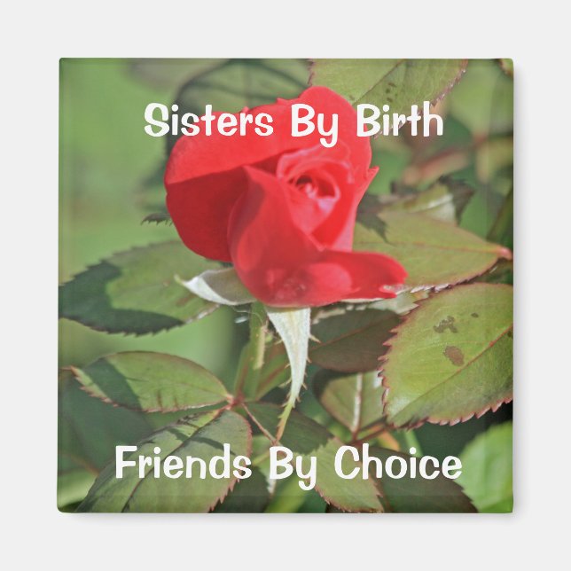 Sisters Magnet (Framsidan)