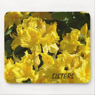 SISTERS musmattad Ljusgul Rhodies Blommor Musmatta