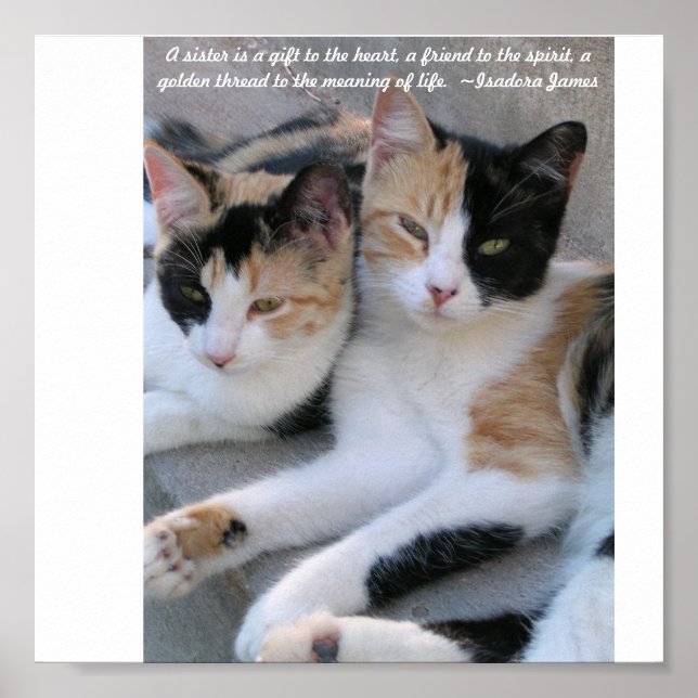 Sisters Poster (Framsidan)