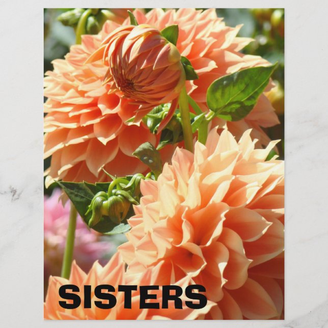 SISTERS Scapebook papper Tema Dalia Blommor (Framsida)