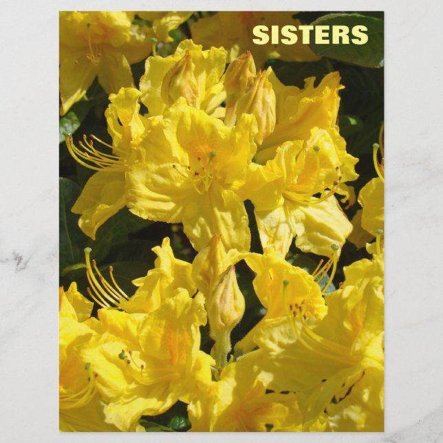 SISTERS Scrapbookingpapper Gula Rhodies Blommor (Framsida)