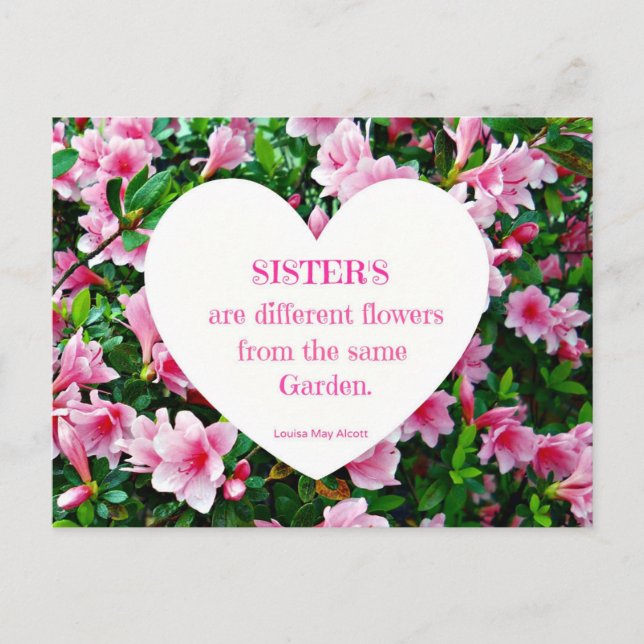 Sisters! Vykort (Framsida)