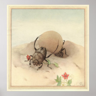 SISYPHUS - Insekt Bok illustration Poster