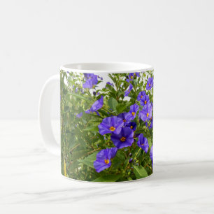 Sisyrinchium Angustifolium Mugg