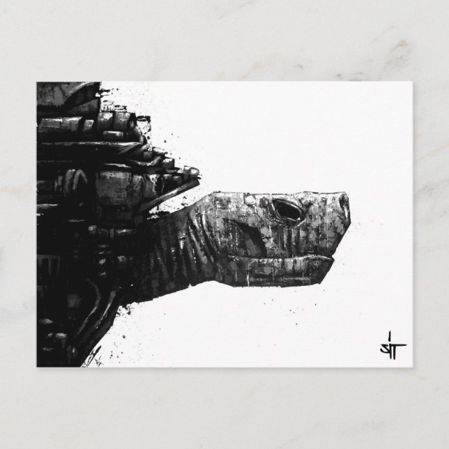 SIT "Turtle" Vykort (Framsida)