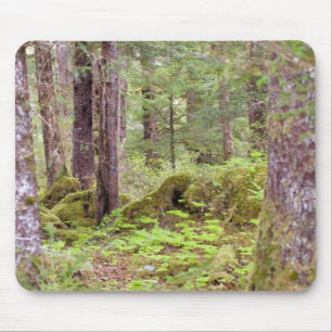 Sitka Forest Musmatta