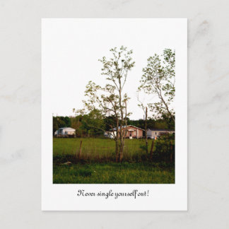 Sitt aldrig ut! vykort