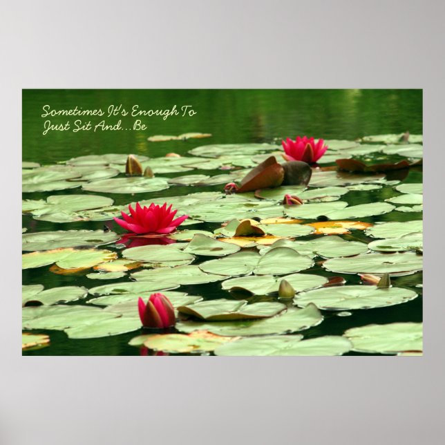 Sitt och Waterlilies Poster (Framsidan)