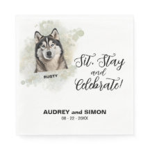 Sitt, Stanna & Fira Alasken Malamute Hund Foto