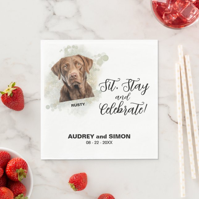 Sitt, Stanna & Fira Chesapeake Bay Retriever Pappersservett (Insitu)