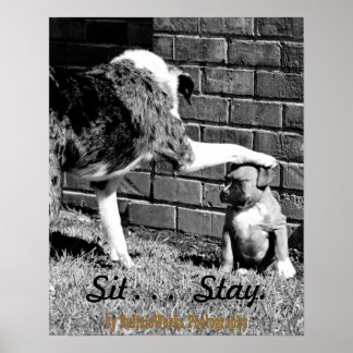 Sitt - - Stanna - - Poster