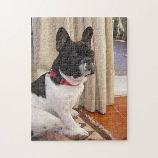 sitta 3 franska bulldog.png pussel (Vertikal)