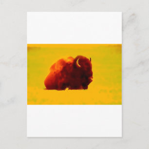Sitta Bison Vykort