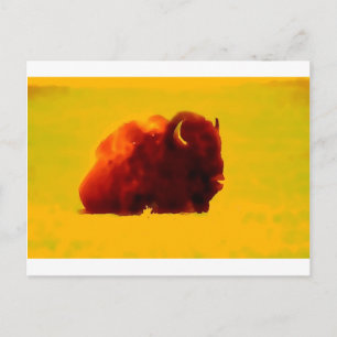 Sitta Bison Vykort