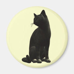 Sitta Black Cat Magnet
