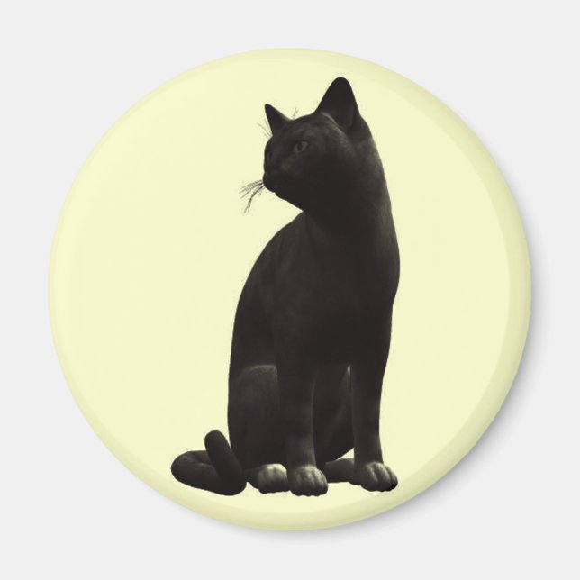 Sitta Black Cat Magnet (Framsidan)