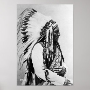 Sitta Bull, a Hunkpapa Sioux Poster