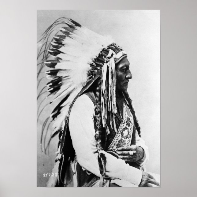 Sitta Bull, a Hunkpapa Sioux Poster (Framsidan)