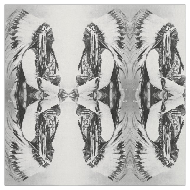 Sitta Bull, a Hunkpapa Sioux Tyg (Provkarta)