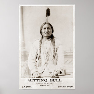 Sitta Bull Poster
