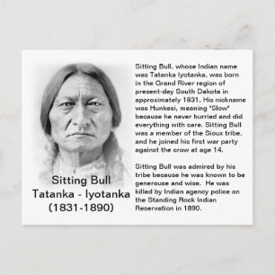 Sitta Bulls FACT-KORT Vykort
